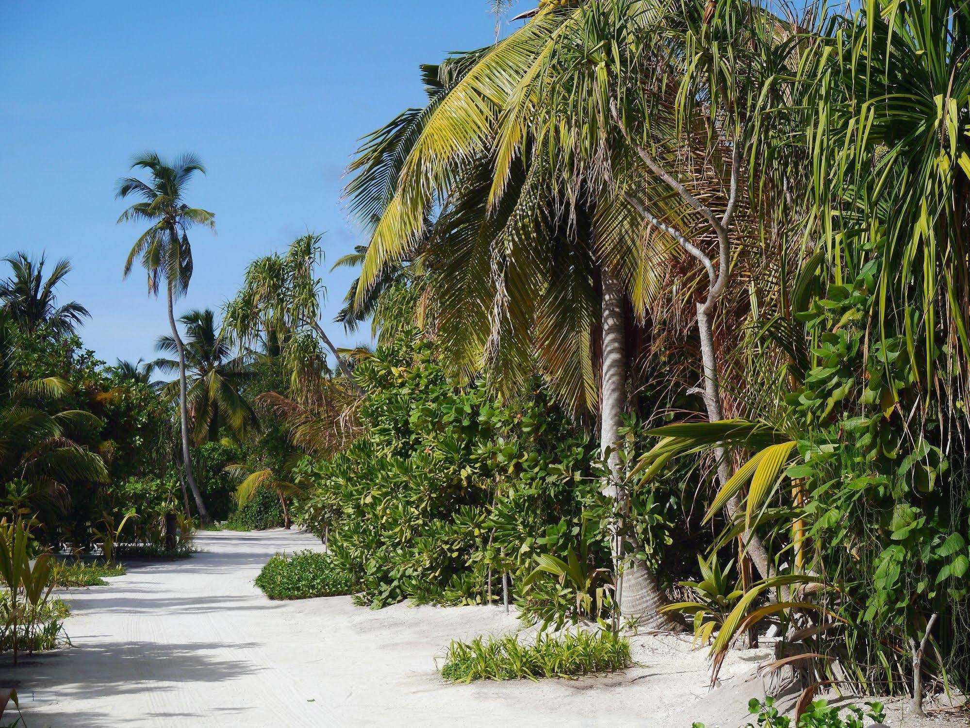 Dhigurah  The Residence Maldives מראה חיצוני תמונה